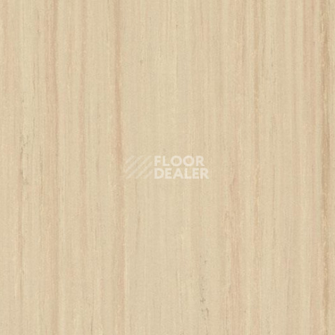 Кварцвиниловые полы Forbo Marmoleum Modular t5230 white wash фото 1 | FLOORDEALER